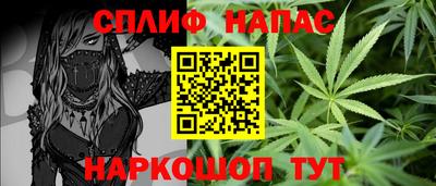 дмт Будённовск