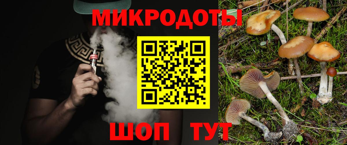 Галлюциногенные грибы GOLDEN TEACHER  Галлюциногенные грибы GOLDEN TEACHER  Ливны  где можно купить наркотик  Вход с VPN 